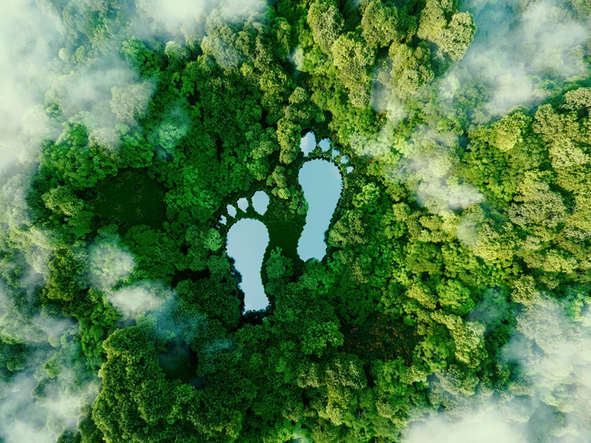 Fundamentals of Carbon Accounting and Carbon Footprint